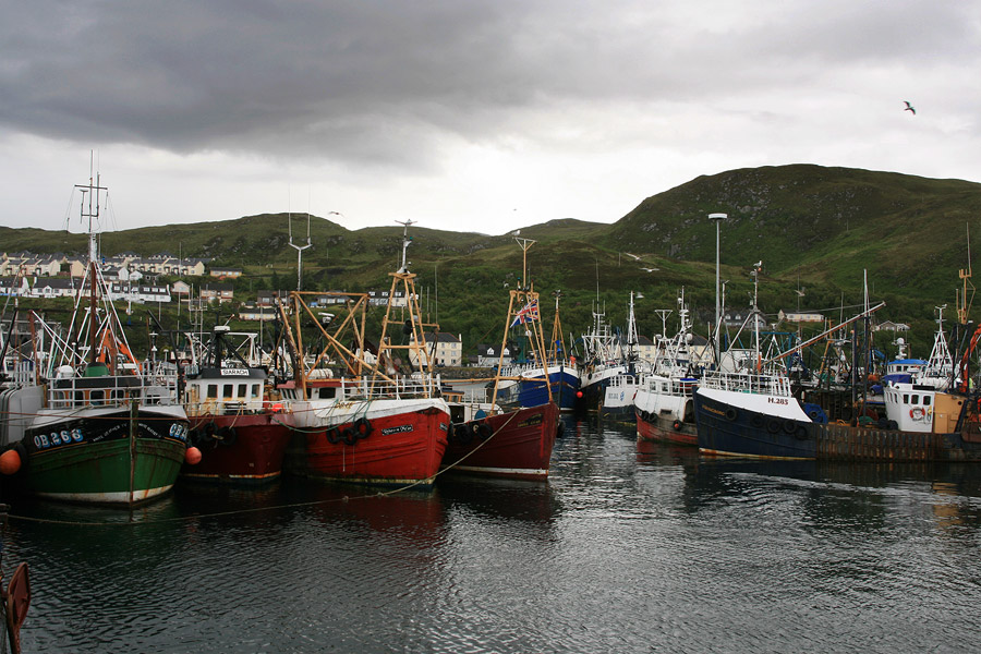Nous quittons le port de Mallaig...