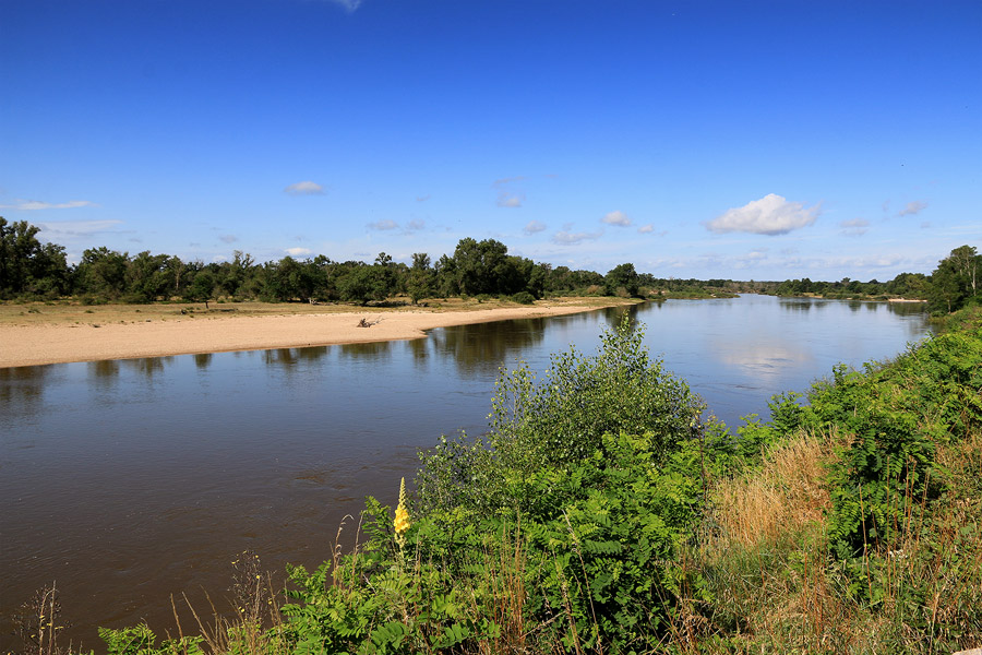 Les bords de Loire du ct de Charrin