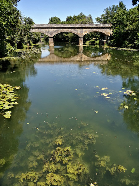 Dans le marais poitevin