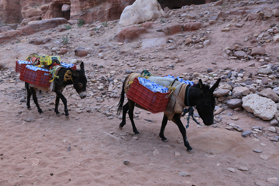 La noria des nes conduisant des bouteilles d'eau aux boutiques