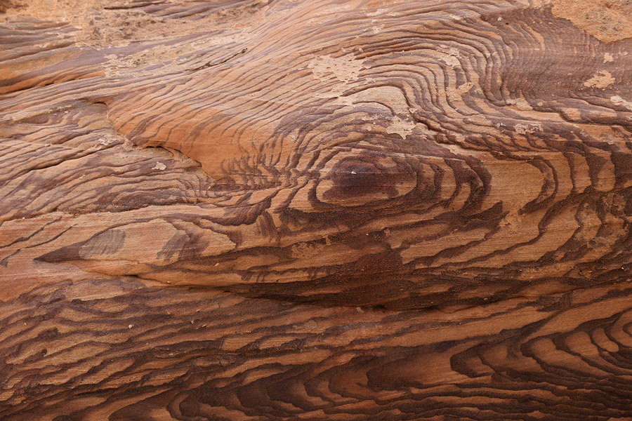 Les tonnantes arabesques dans le grs du Wadi Feid