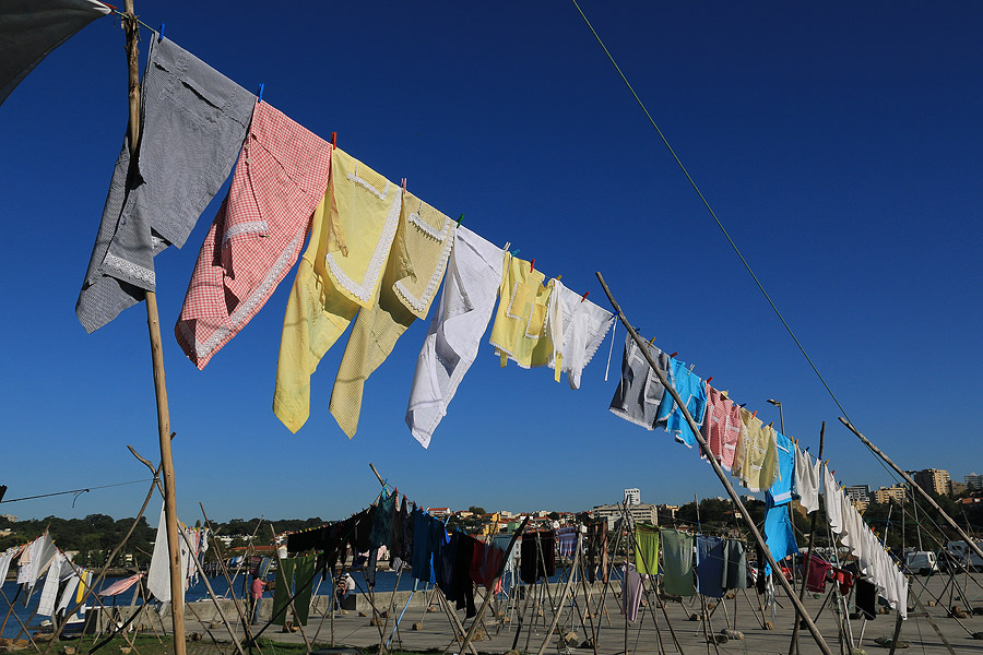 Linge schant dans le port d'Afurada