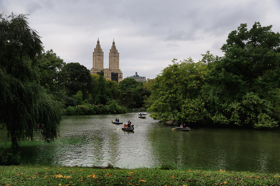 Central Park sous un ciel triste
