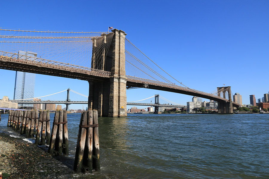 Le pont de Brooklyn et celui de Manhattan  l'arrire-plan