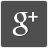 Google+