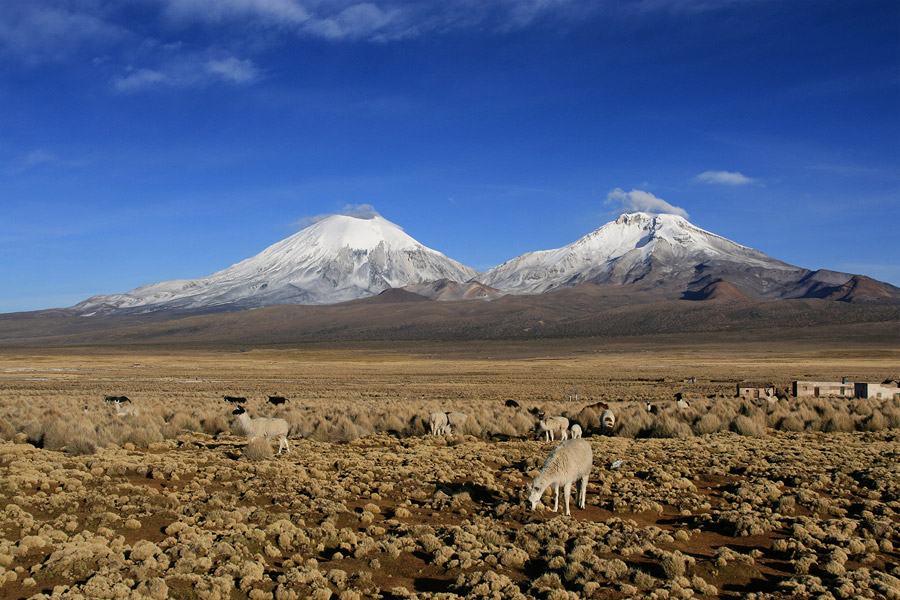 Parinacota et Pomerape