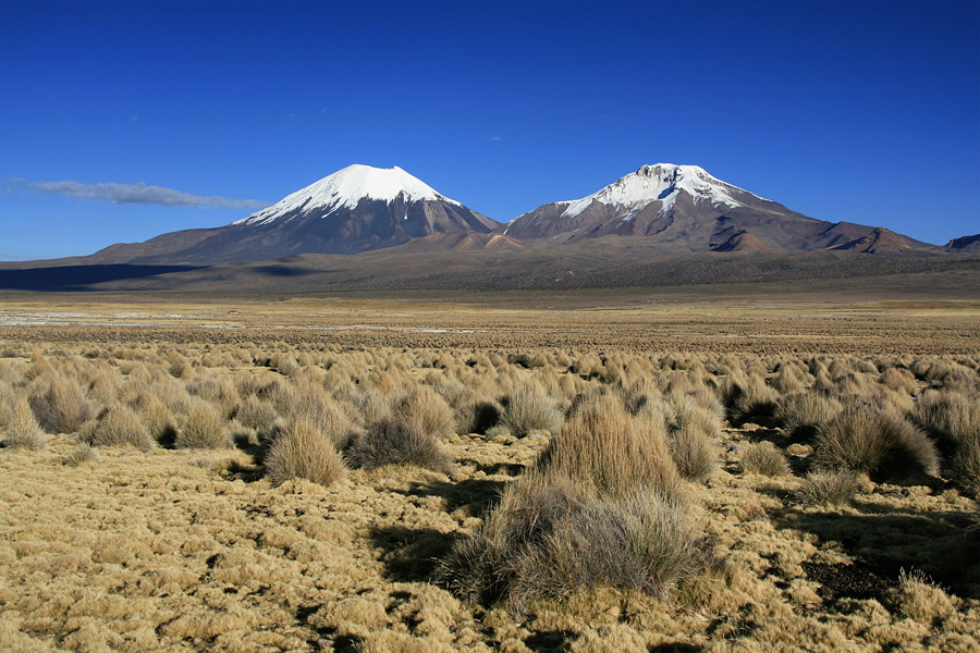 Parinacota et Pomerape