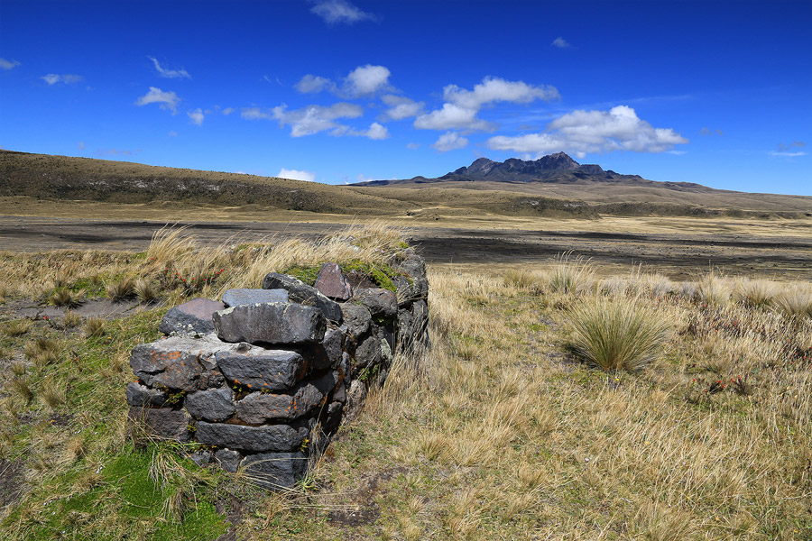 Ruines de Pucara Salitre et Rumiahui