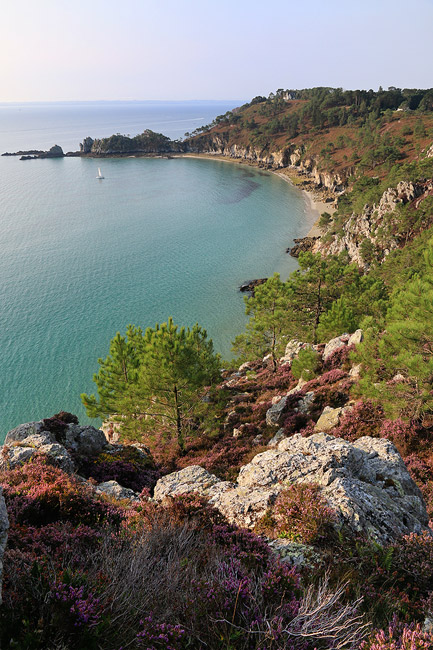 Entre pointe de Morgat et cap de la Chvre