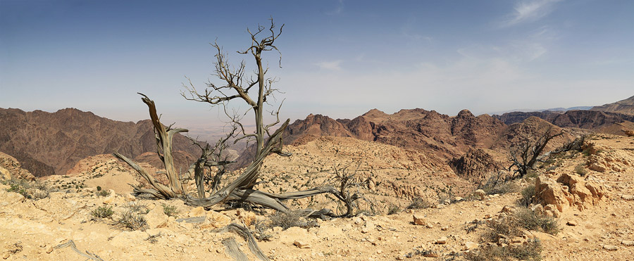 Depuis la crte du Jabal Safaha