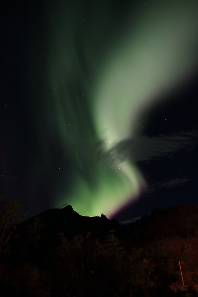 Aurore borale au-dessus de Nusfjord
