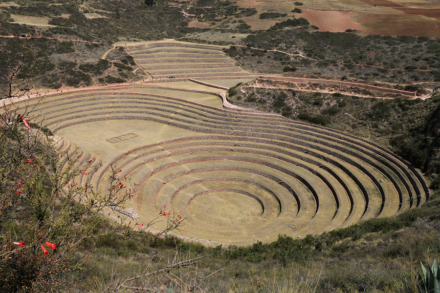 Moray