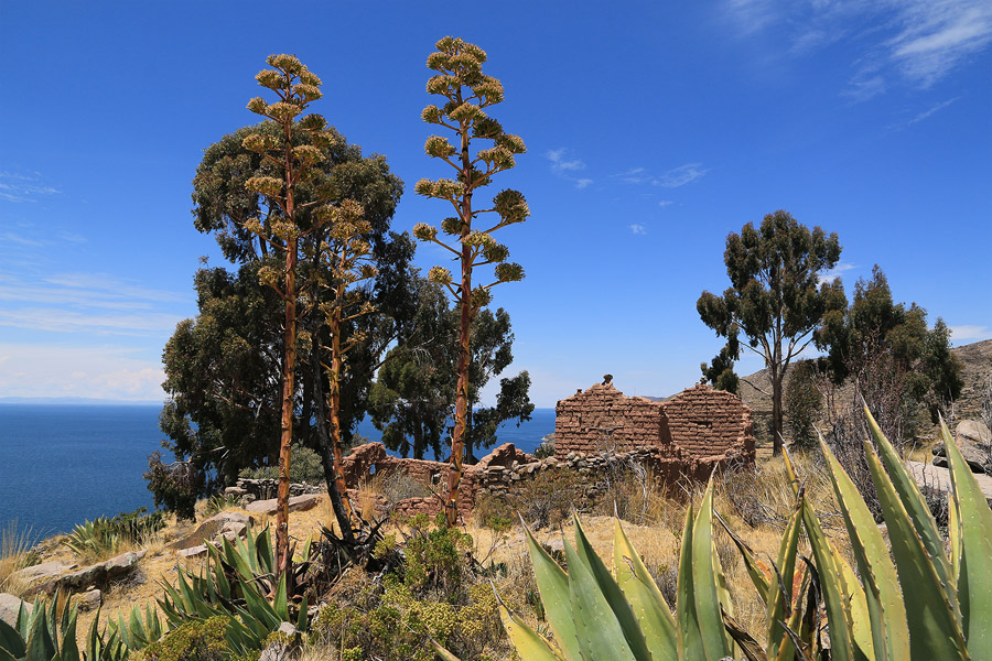 Ruine sur les hauteurs du lac Titicaca