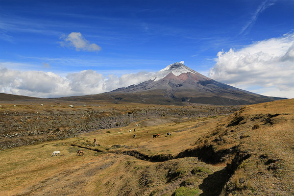 Volcan Cotopaxi